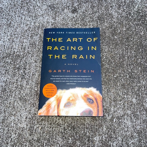 The Art Of Racing In The Rain - Picture 1 of 2